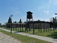 Szlakiem historii i przyrody – Dobiegniew i Drezdenko (wycieczka autokarowa)
