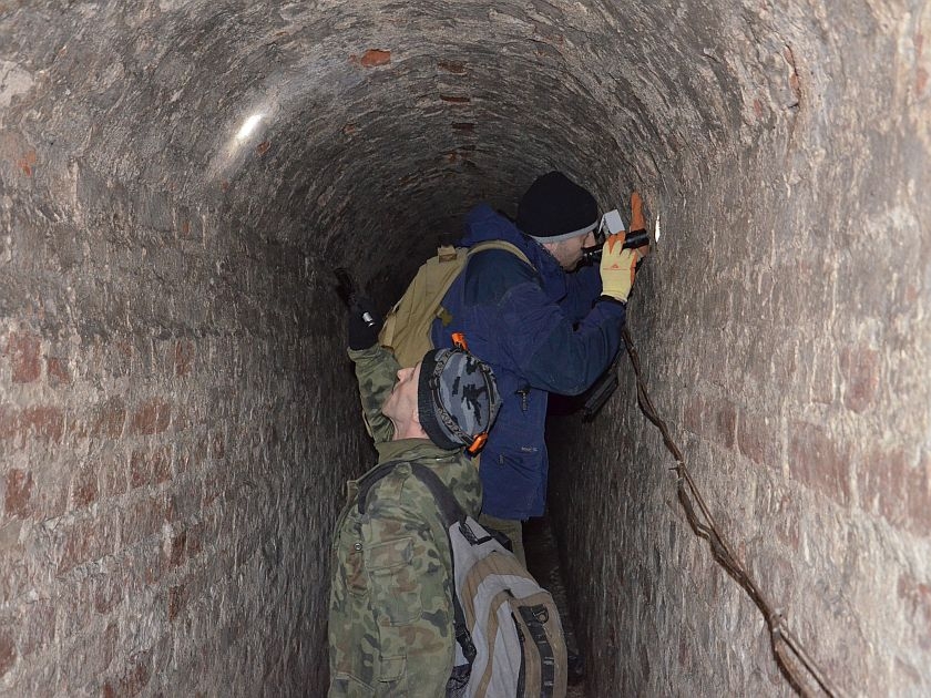 Alljährliche Fledermauszählung