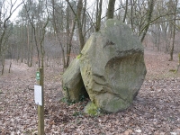 Fotografia przedstawia inny kamień znajdujący się na trasie wędrówki